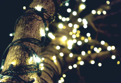 Magic Christmas in Lights at Bellingrath Gardens Event